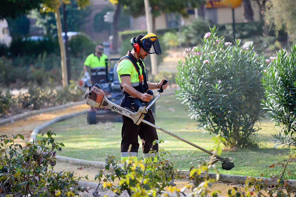 Mantenimiento de Zonas Verdes 3 El mantenimiento de las zonas verdes y jardines en su empresa