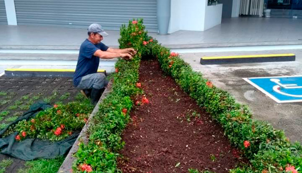 Mantenimiento-de-Jardines Mantenimiento-de-Jardines