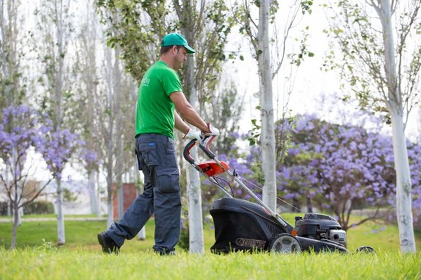 Mantenimiento de Zonas Verdes 2 jardines y piscinasSENTINEL